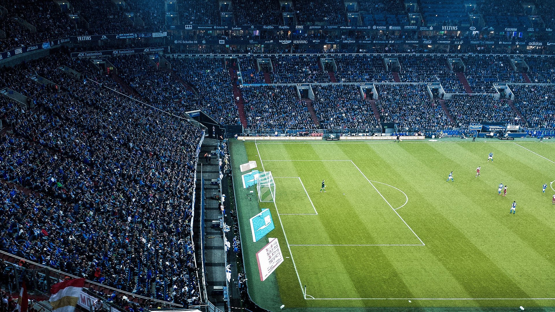 东决关键战之夜，范弗利特状态火热，小个子的大心脏